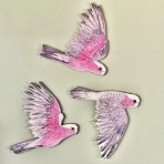 Bridget Farmer | Wall Decorations | Galahs | Set of 3